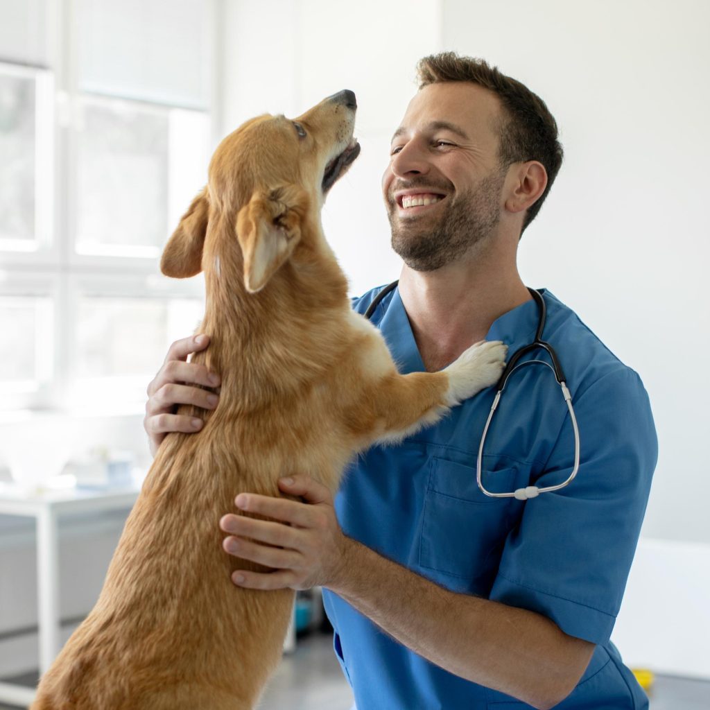Loxahatchee Groves Veterinary Clinic (13)