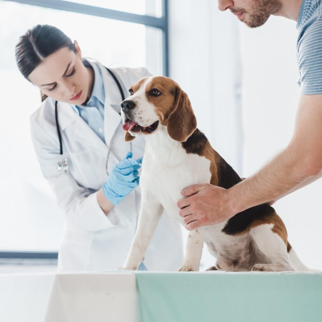 Loxahatchee Groves Veterinary Clinic (2)